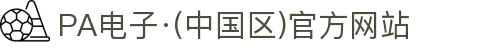PA电子·(中国区)官方网站